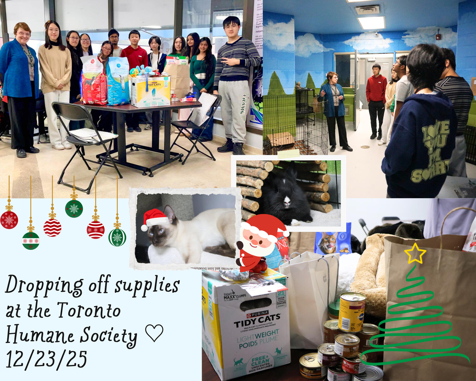 Invited to tour the Toronto Humane Society (donated supplies from drive)